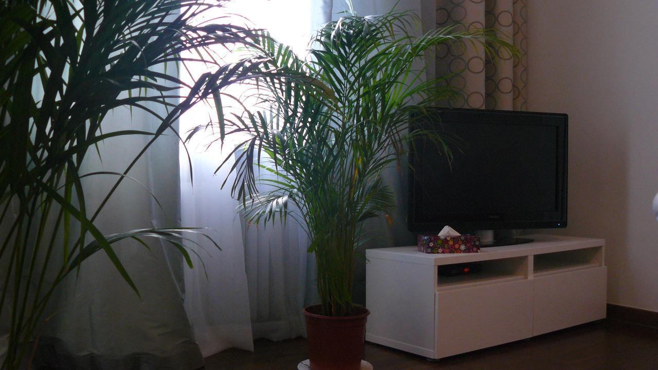 Апартаменты Apartament Chmielna Варшава Экстерьер фото